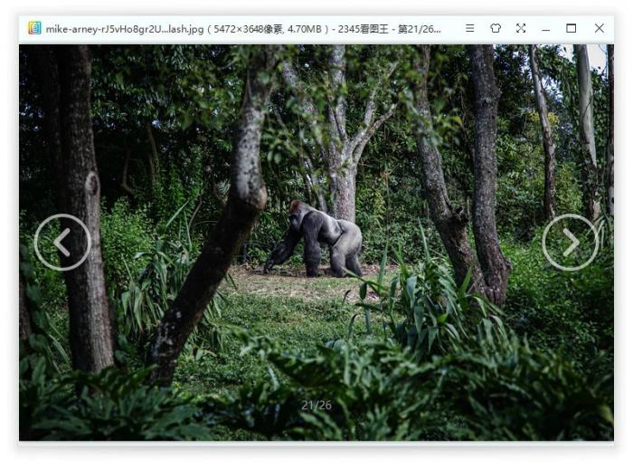 2345看图王v10.0.0.8852精简版插图2