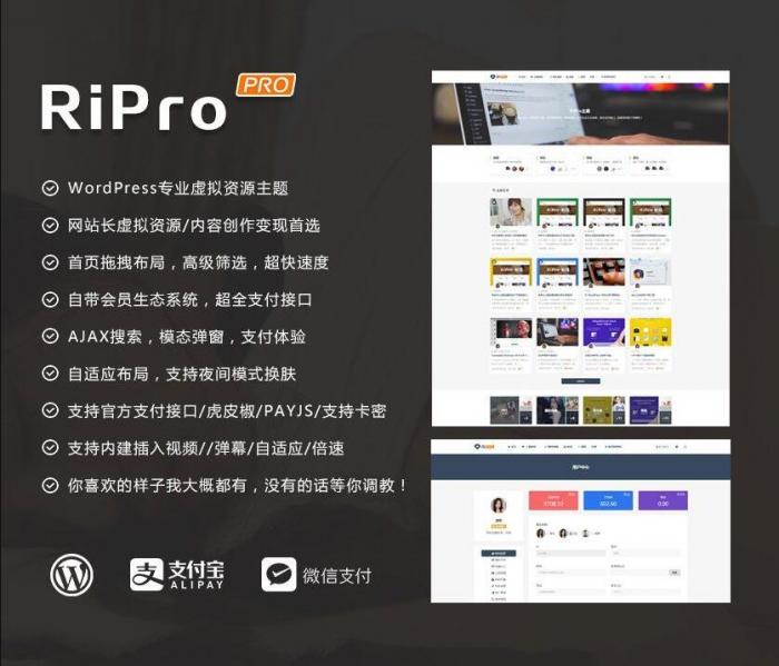 RIPro主题 v7.2 免授权修复后门完美版插图
