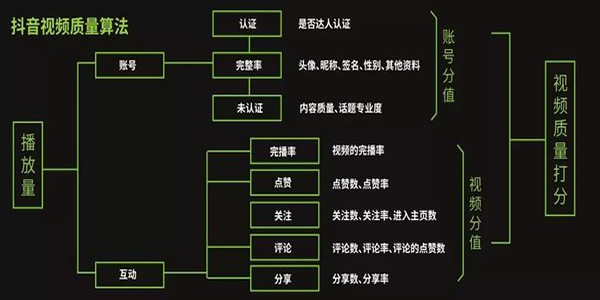 抖音运营热门涨粉详细教程插图5