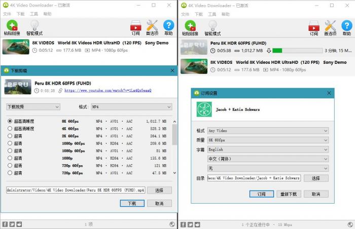 4K Video Downloader v4.15.0插图