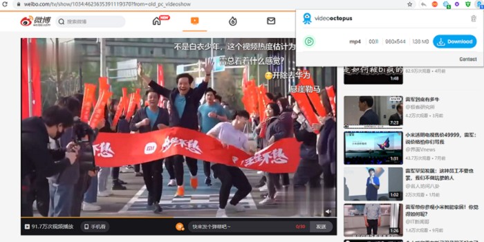 浏览器网页视频下载Video Octopus插件插图
