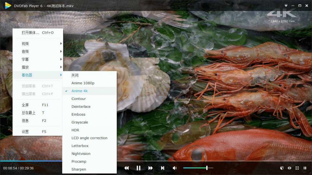 DVDFab Player v6.1.1高级版-老蔡源码网
