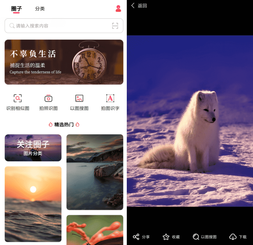 以图搜图v1.0.0纯净版-老蔡源码网