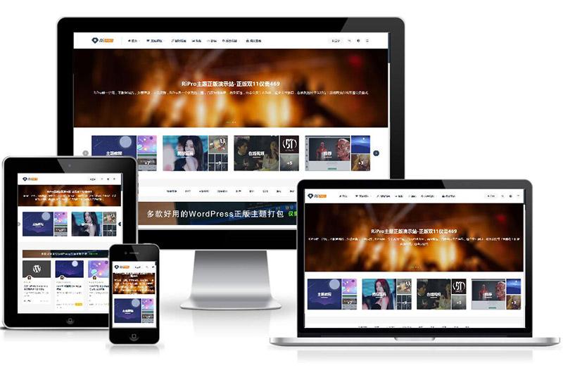 WordPress付费资源下载主题：ripro8.7最新破解版-老蔡源码网