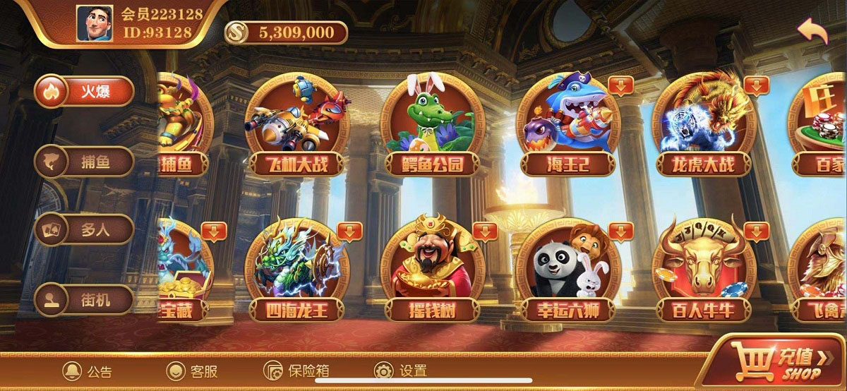 无错运营级别逍遥娱乐,2021最新大富豪,二开增加多款子游戏,双端完整组件-老蔡源码网
