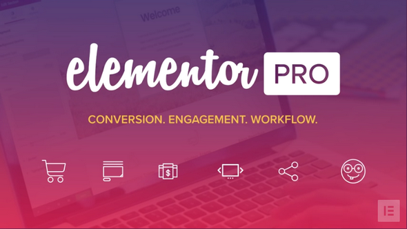 【Elementor Pro v2.10.0】WordPress插件+弹窗生成器+主题生成器+可视化拖拽编辑器插件+300多个Designer Made模板+专业版-老蔡源码网